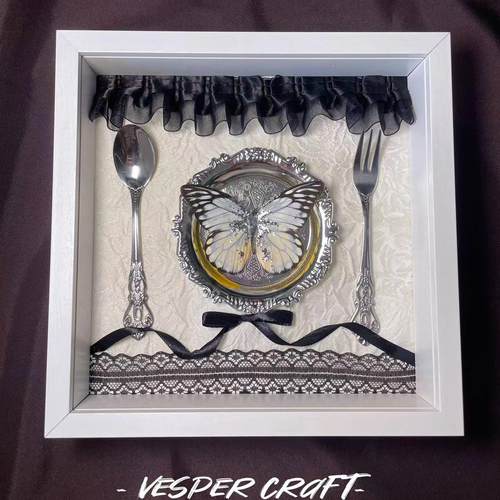 原创真蝴蝶标本家居摆件礼物