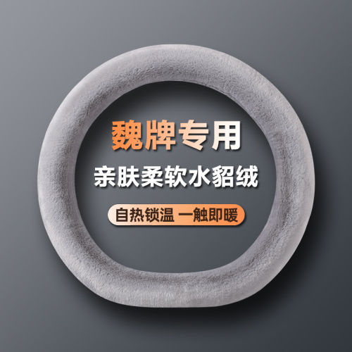 魏牌WEY高山蓝山拿铁摩卡