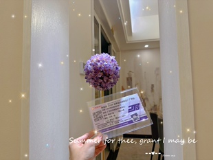 林俊杰周杰伦五月天薛之谦演唱会门票票根收藏纪念透明收纳票夹