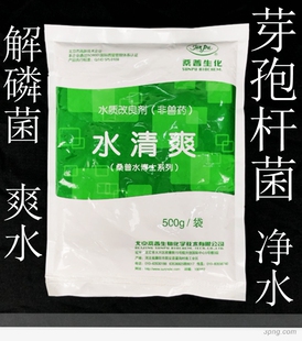桑普生化水清爽水产养殖芽孢杆菌净水爽水调水鱼塘小龙虾螃蟹养殖
