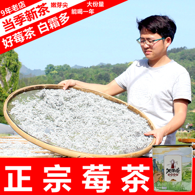 手工茶正宗好莓茶白霜多大份量