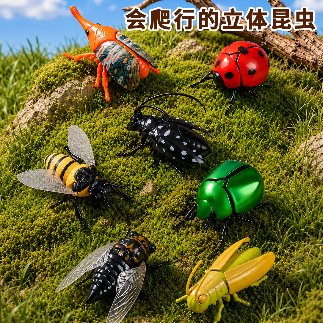儿童发条昆虫会动的爬行玩具立体甲壳虫模型仿真知了机械甲虫蜜蜂