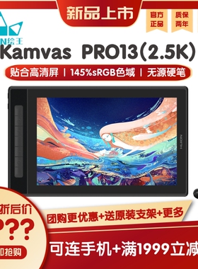 HUION绘王 Kamvas Pro13(2.5k) 数位屏 可连手机电脑绘画屏手绘板