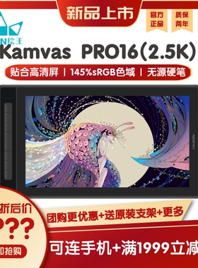 HUION绘王Kamvas Pro16(2.5k) 数位屏可连手机绘图电脑手绘屏画板