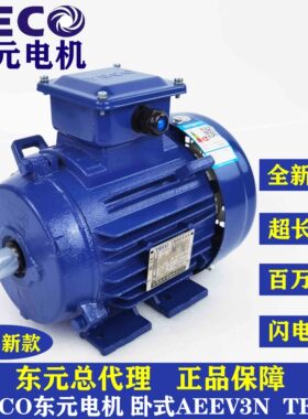 TECO东元电机AEEV3N 0.55 1.1 2.2 3 4 5.5 7.5 11 15KW 马达卧式