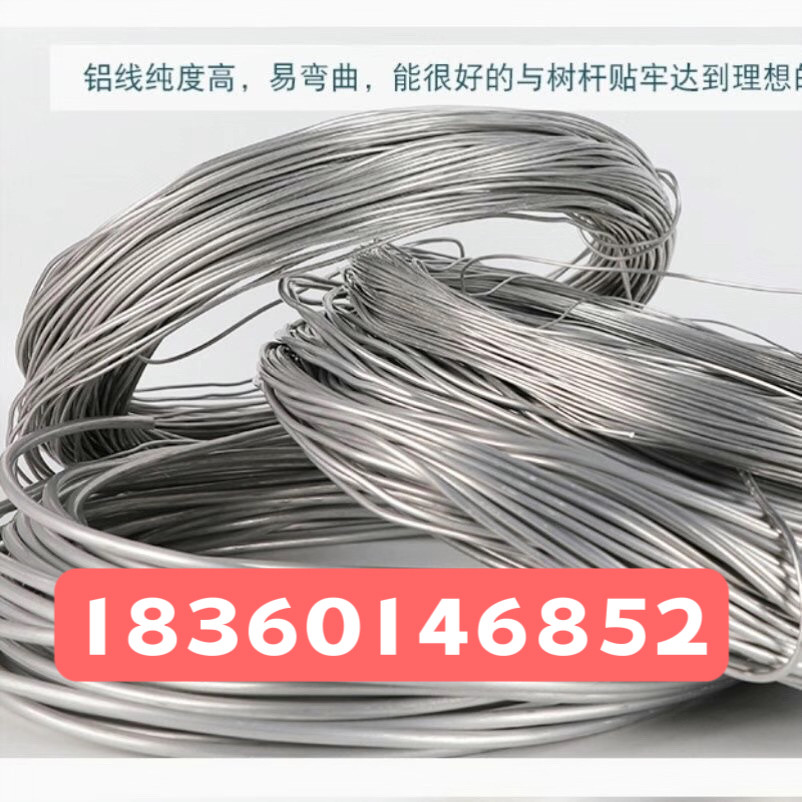 盆景造型铝线 软铝丝捆绑丝 原色软铝线造型专用铝丝500克,鲜花速递/花卉仿真/绿植园艺,造型盆景,淘宝优惠券,粉丝福利购,淘宝优惠卷