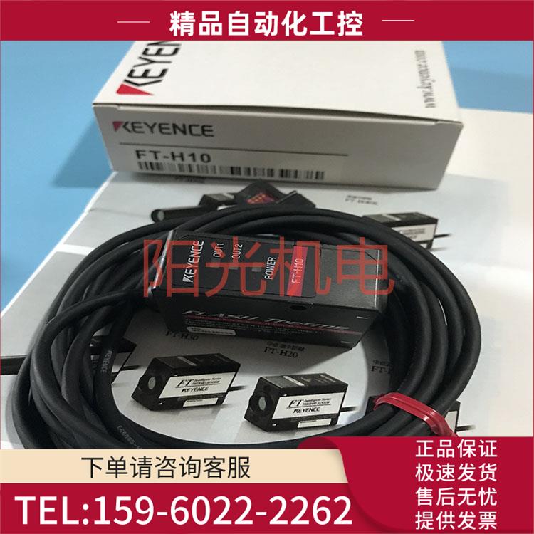 FT-H10温度传感器光电辐射传感器FT-H10C FT-H20/H20C【议价】
