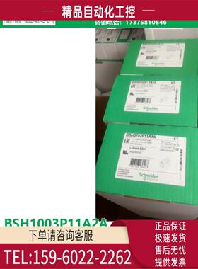 商BSH1003P11A2ABSH 电机 IEC带键 1003P11A2A【议价】