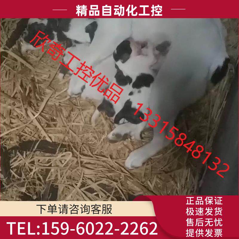 纯种法斗母狗生的法斗串串,因为工作忙没有时间去给她配种,第【议