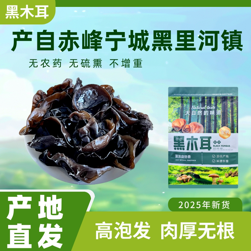 秋木耳赤峰宁城木耳2025年新干货