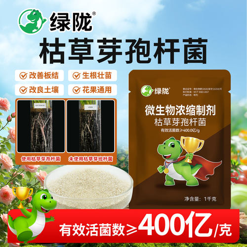 绿陇枯草芽孢杆菌活土促进生根