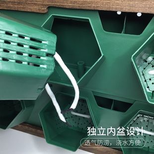 定制2023真植物墙壁挂多肉相框挂式 挂墙创意绿植墙上花架水培吊兰