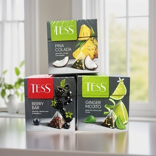 进口俄罗斯水果茶 TESS果粒茶 三角茶包红茶绿茶提神防困花果茶