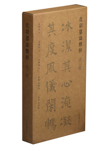 北朝墓志精粹第二辑 历代书法 艺术 上海书画出版社