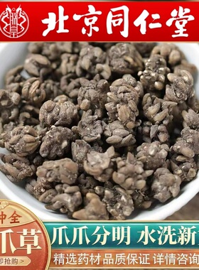 北京同仁堂野猫爪中草药500g包邮干货水洗猫爪草蒲公英姜黄茶正品