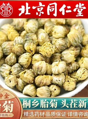 北京同仁堂中药材胎菊500g浙江头采胎菊精选白菊花茶特级菊花菊花