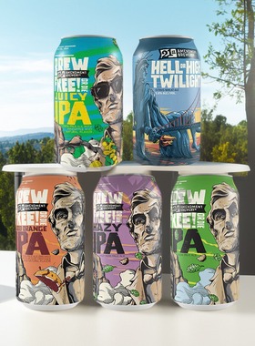 美国进口21修正案酿造自由IPA精酿啤酒355ml