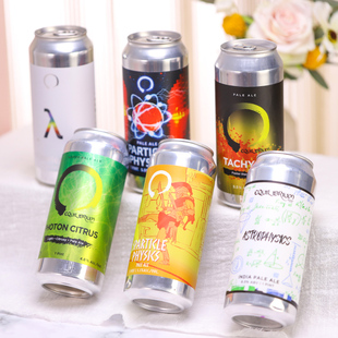 高分美式浑浊IPA 美国进口稳态精酿啤酒质能方程双倍浑浊ipa