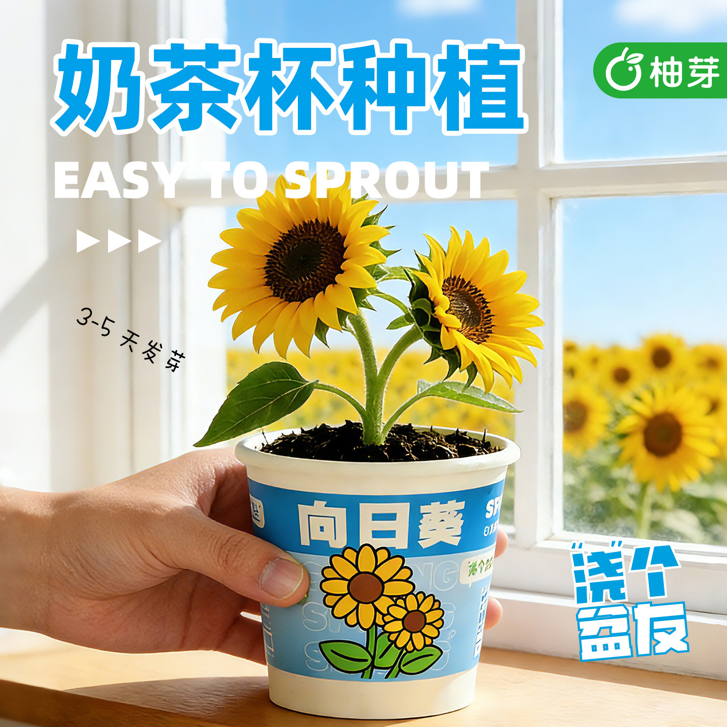 儿童开学礼物懒人种植杯盆栽生日伴手礼小学生植物小盆栽定制批发