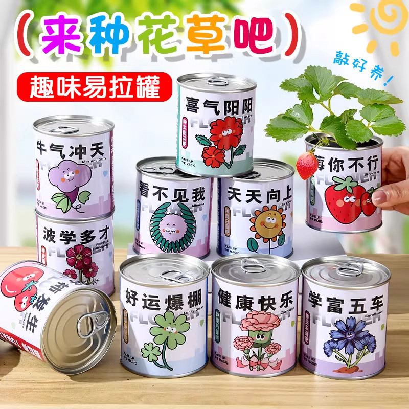 幼儿园种植小盆栽好养活室内适合小朋友养的植物生日礼物定制批发