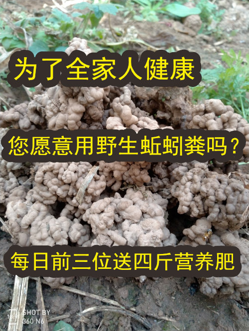 纯天然野生蚯蚓粪便，营养丰富纯天然自然营养养花种草5斤包