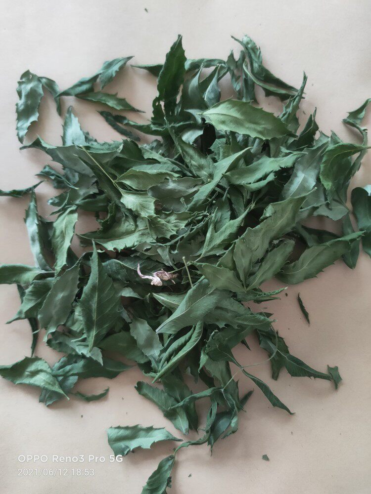 文冠果叶茶文冠果茶野生文冠果茶太行山野生嫩叶100克送连翘叶