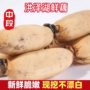 莲藕新鲜洪泽湖特产水果嫩藕脆藕生吃炒藕非藕带凉拌新花藕