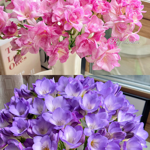 不售后，桃子加紫色香雪兰2扎16～20只，购买三单包邮