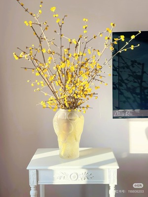 不售后，推荐中国腊梅1扎，购买三单包邮