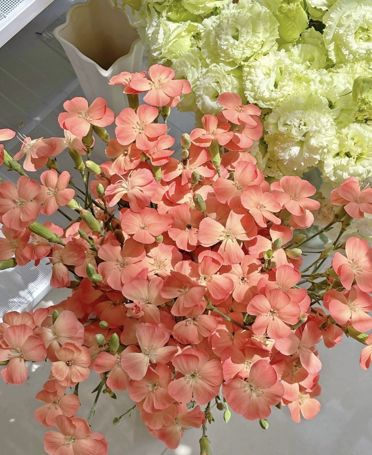 不售后，可利鲜三文鱼多丁1扎，购买三单包邮,鲜花速递/花卉仿真/绿植园艺,花材,淘宝优惠券,粉丝福利购,淘宝优惠卷