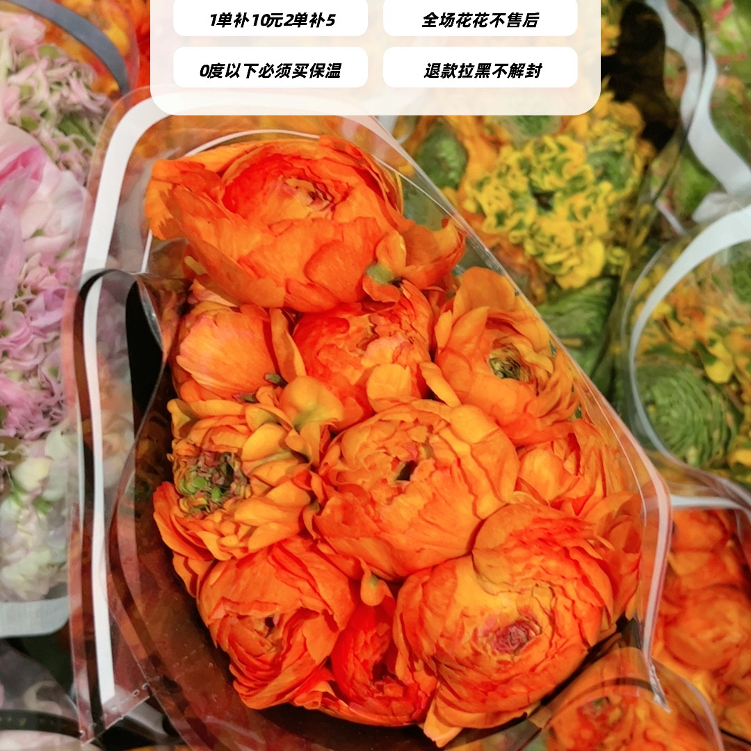 不售后，推荐橙色锦鲤洋牡丹1扎8～10支，购买三单包邮,鲜花速递/花卉仿真/绿植园艺,花材,淘宝优惠券,粉丝福利购,淘宝优惠卷