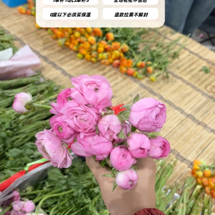 不售后，推荐粉色洋牡丹1扎8～10只，购买三单包邮