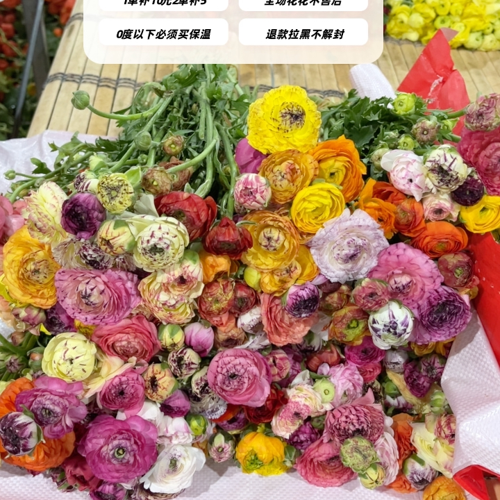 不售后，推荐绝美七彩洋牡丹1扎8～10只，购买三单包邮