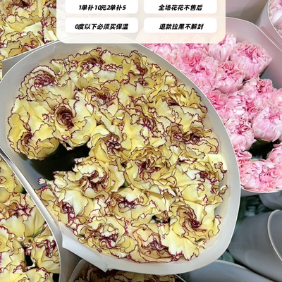 不售后，推荐眼线单头康1扎16～20支，购买三单包邮