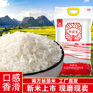 园万米业丝苗米5kg新米广东丝苗米香甜真空包装籼米