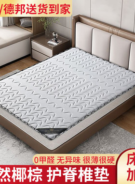 思念儿童成年人环保椰棕3E硬