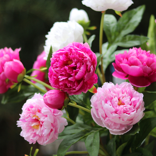 高档牡丹花芍药仿真花假花客厅摆件餐厅装 绢花干花摆设 饰花瓶套装