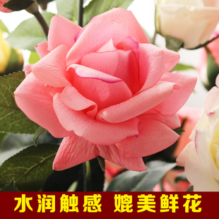 饰花艺摆设 高档手感保湿 玫瑰花仿真花束客厅餐桌假花摆件插花装