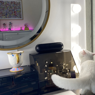 立式化妆灯镜前灯调光台灯梳妆台专用补光镜灯镜子灯自然光打光灯