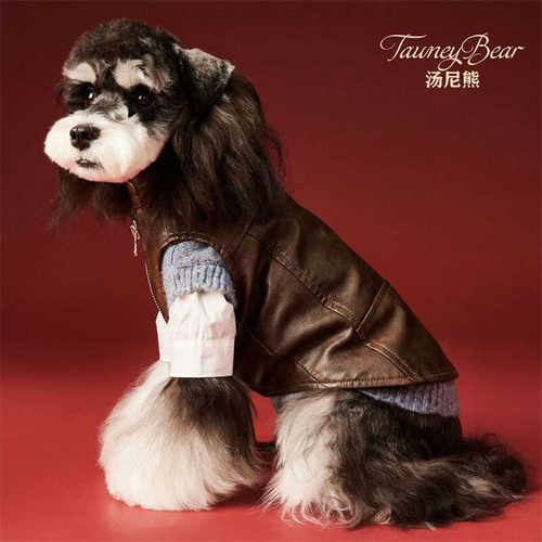 潮皮衣夹克马甲汤尼熊小狗狗猫咪
