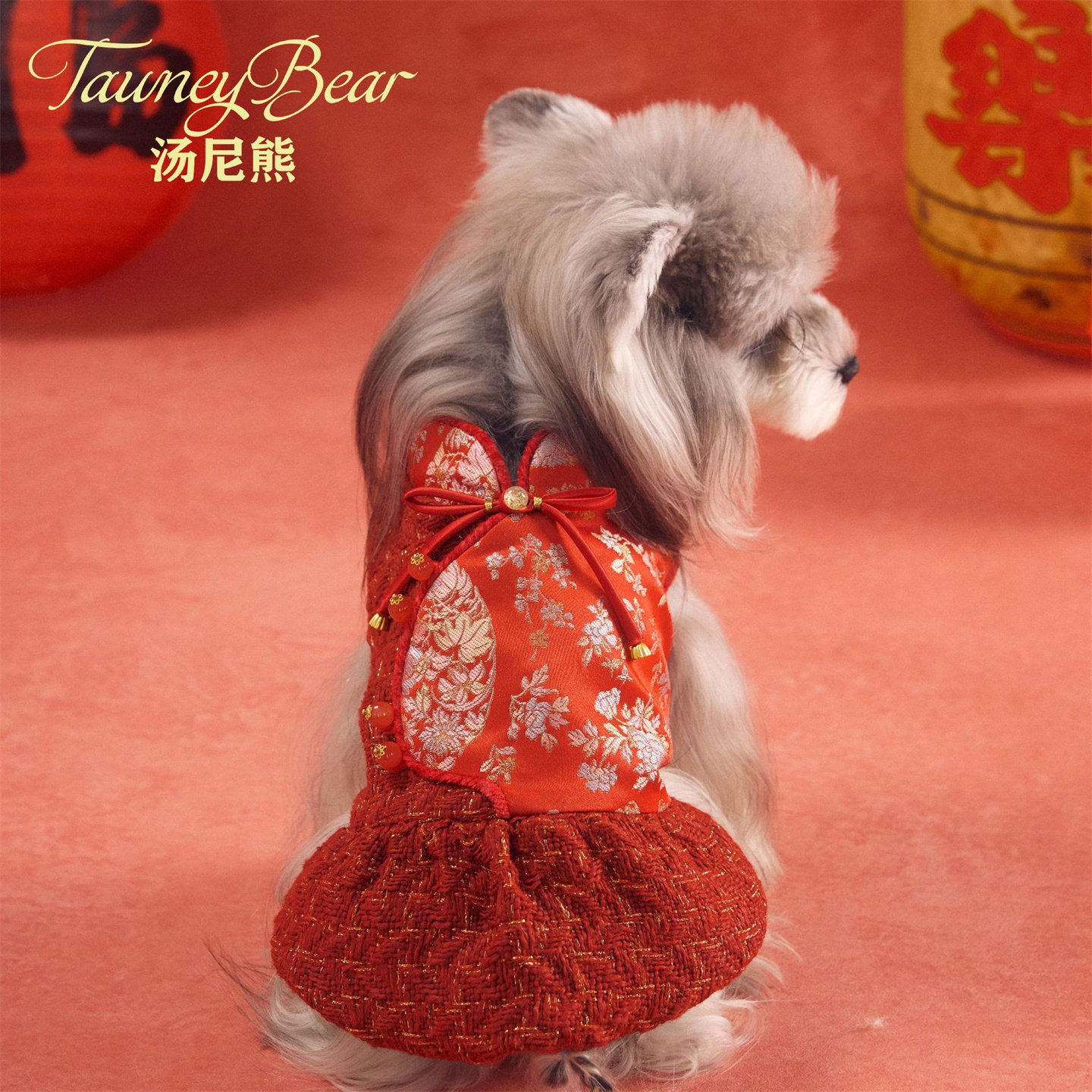 汤尼熊宠物小狗狗过年衣服秋冬款连衣裙雪纳瑞泰迪比熊猫咪旗袍裙