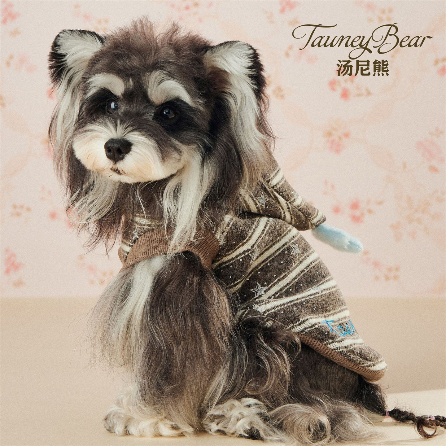 汤尼熊宠物狗狗衣服秋冬款条纹卫衣雪纳瑞约克夏吉娃娃马尔济斯猫