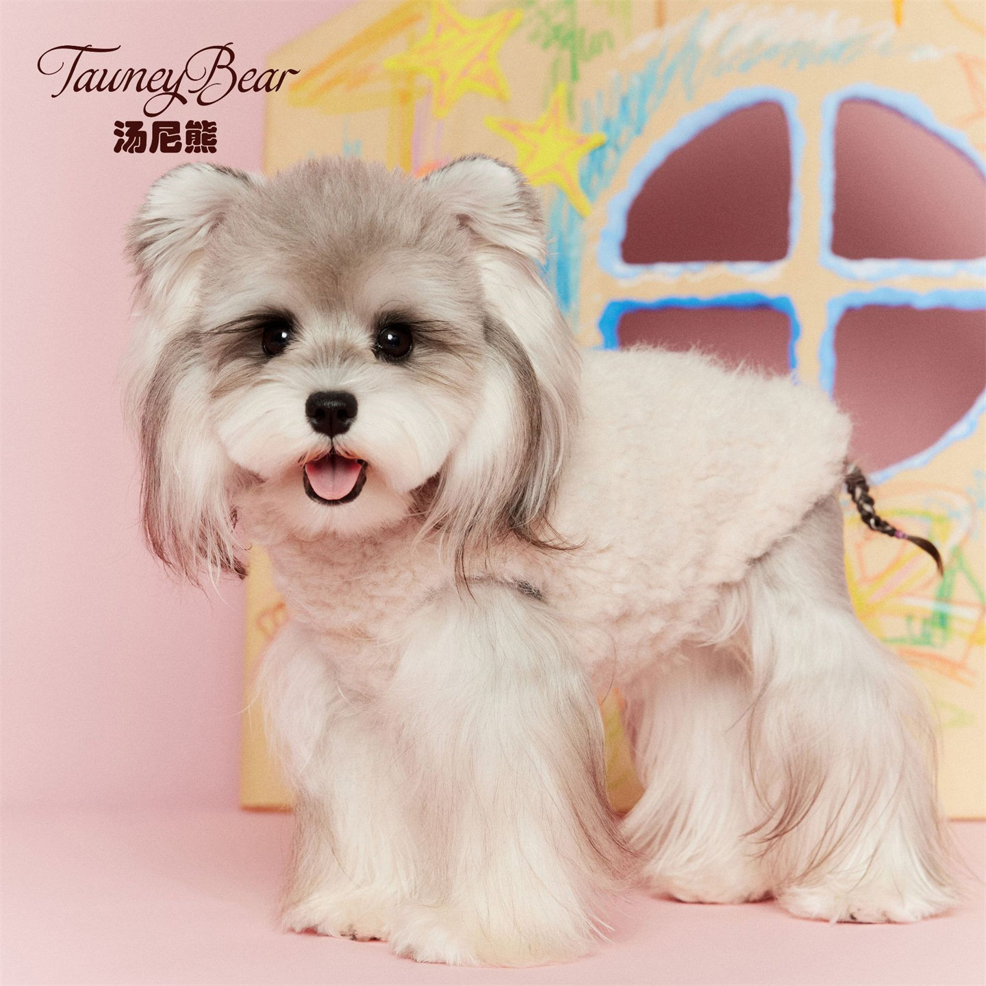 汤尼熊狗狗衣服秋冬款双面穿马甲外套雪纳瑞泰迪马尔济斯柯基猫咪,宠物/宠物食品及用品,狗宠物服装/雨衣,淘宝优惠券,粉丝福利购,淘宝优惠卷