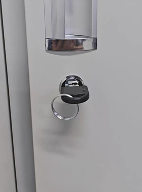 转舌锁锌合金小锁头偏芯锁锁芯偏心储物柜信箱储物柜锁更衣柜锁