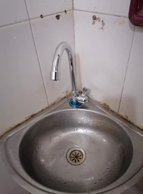 304不锈钢厨房单冷水龙头家用洗菜盆龙头水槽洗手池单孔水阀旋转