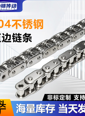 304不锈钢C型直板链条工业传动链条单双排滚子链条C08BC10AC12A16