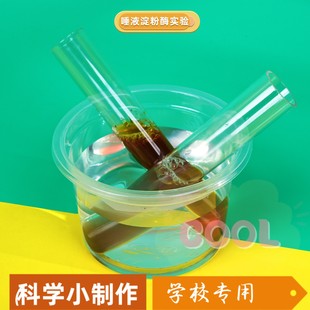 唾液淀粉酶 科技小制作化学食物催化分解小科学实验学生手工das12