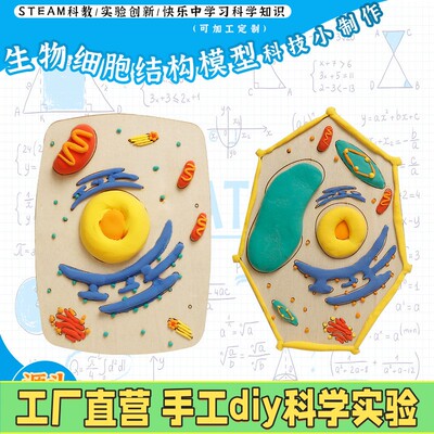动物细胞模型制作材料植物细胞结构模型制作材料初中七年级生物新