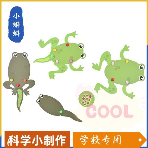 小蝌蚪长大了 幼儿园手工材料DIY科技小制作科学实验青蛙一生as77
