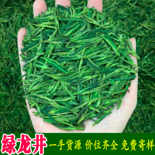 2025年新茶美景浓豆香茶叶散装白茶大佛松阳工艺绿茶龙井